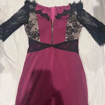 레이스 소매 드레스