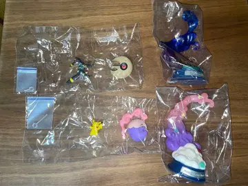 포켓몬 스윙 비넷 2종 세트