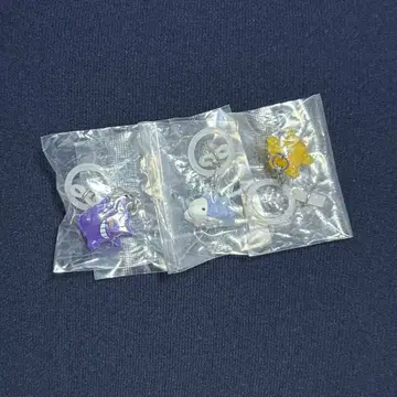 포켓몬 메지루시 액세서리