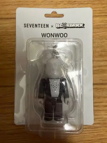 세븐틴 SEVENTEEN 베어브릭 원우 WONWOO
