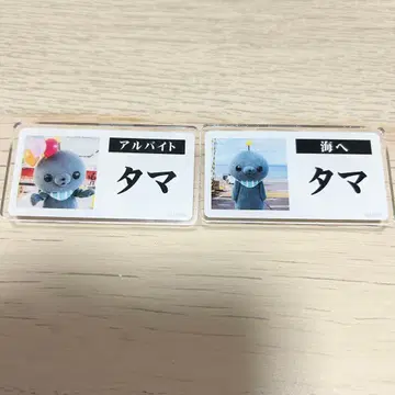 교육 방송 타마 호메호메 카페 명찰 아르바이트 바다로 2개 세트