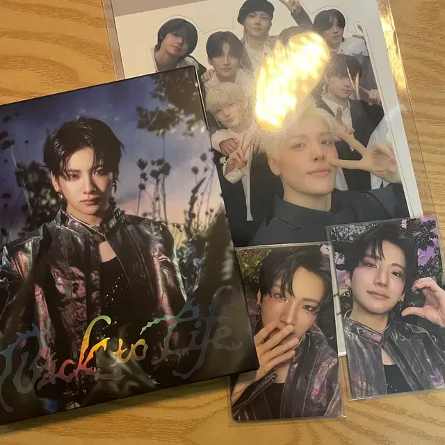 앤팀유마백투라이프앨범포카