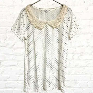 그라시아 허니즈 레이스 옷깃 티셔츠 도트 무늬 빅 칼라 티셔츠