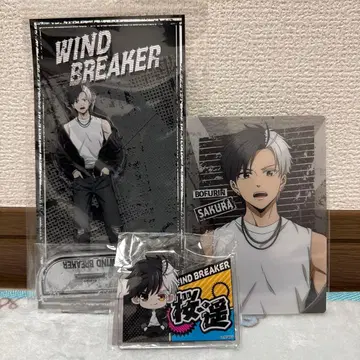 WIND BREAKER 락가죽 사쿠라 하루카 3종 세트