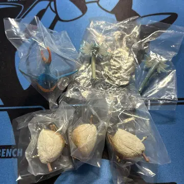 몬스터 헌터 환경생물 도감 5개