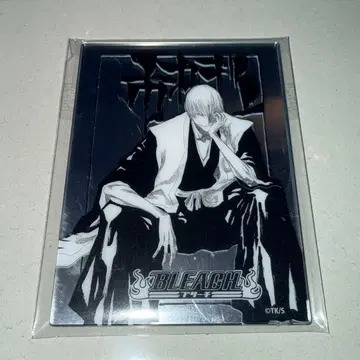 BLEACH 메탈릭 마그넷 이치마루 긴