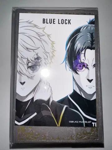 블루 록 에피소드 나기 플라워북 나기 세이시로 미카게 레오