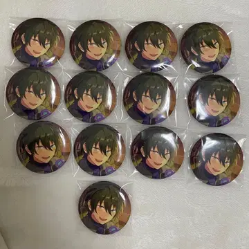 앙상블 스타즈 앙스타 카게히라 미카 피처 2 캔뱃지