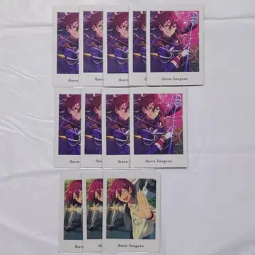 앙스타 파샤츳 vol.6 사에구사 이바라 Action Private