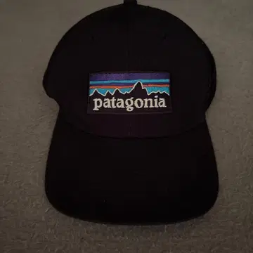 patagonia 메쉬 캡