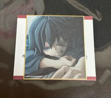 귀멸의 칼날 전 집중전 색지 토미오카 기유