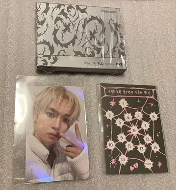 Stray Kids DO IT PLATFORM PLVE ver.