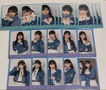 나 파랑 트레이딩 카드 AB 그것은 페어리 15종 21장 세트 묶음 판매