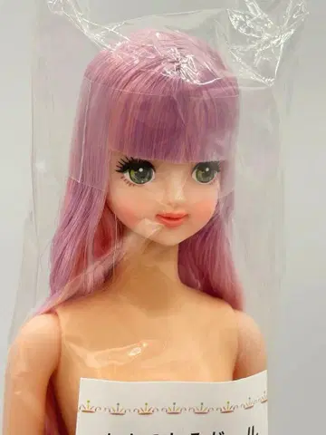 타마키 리카짱 캐슬 오타노시미 인형 옅은 핑크 보라 계열 제니 프렌드