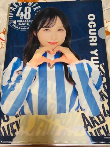 AKB48 오구리 유이 웬디즈 콜라보 클리어 파일