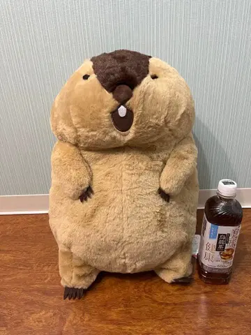 마모트의 모토토 모아! 울트라 BIG 봉제 인형 야마모토