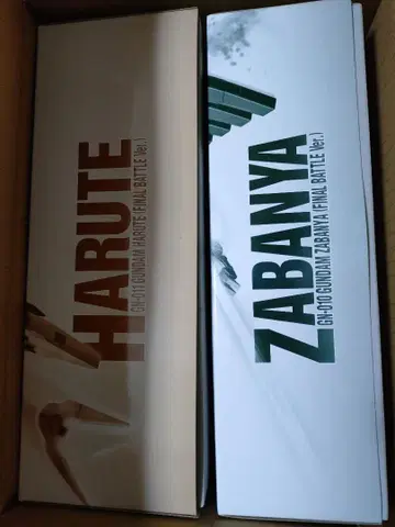 HG 건담 사바냐 & 하루트 최종 결전 사양