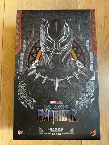 핫토이즈 블랙팬서 오리지널 수트