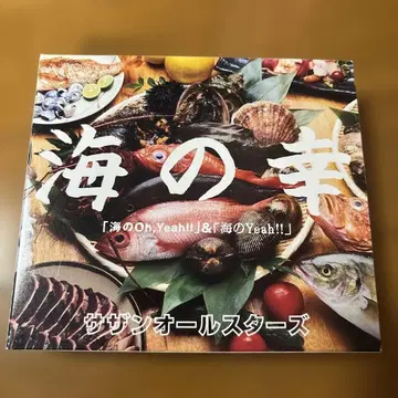 서던 올스타즈 바다의 보물 2장 CD