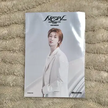 SEVENTEEN NEW BUNKASAI 브로마이드 THE 8