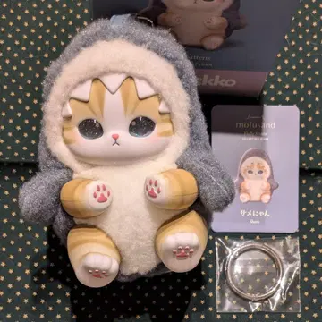 모프 샌드 키라메코 상어