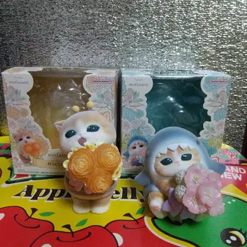 mofsand mofamofy 2종