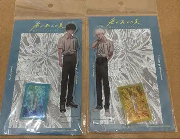 빛이 죽은 여름