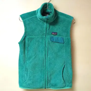 파타고니아 보아 플리스 베스트 그린 M