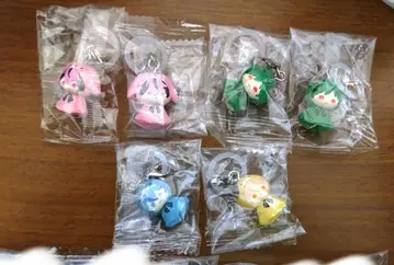 시쿠포니 메지루시 액세서리