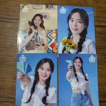 niziu 코코넛 페스티벌 리오짱 랜트레