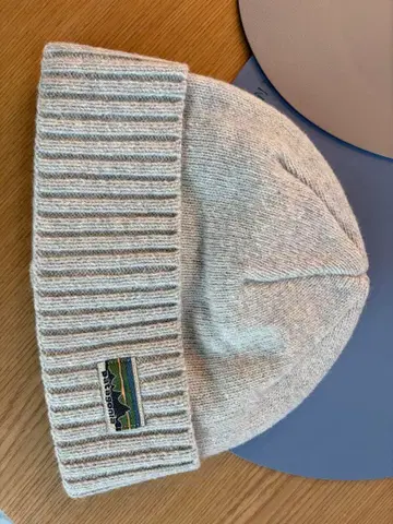 파타고니아 비니