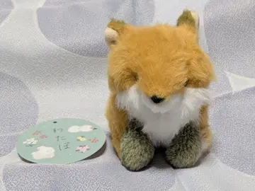 와타포 봉제 인형 북극 여우
