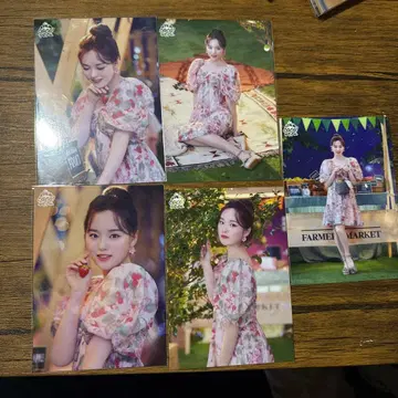 니쥬 랜트레 리오짱