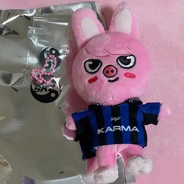 스트레이 키즈 스키즈 KARMA SKZOO 돼끼 창빈