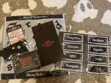 straykids 스키즈 dominATE 업그레이드 특전