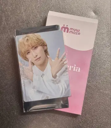 캐터리아 mew maze 랜덤 포토 카드 벵갈 후쿠자와 유