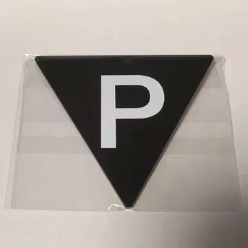 핵P-model 히라사와 스스무 P-배지