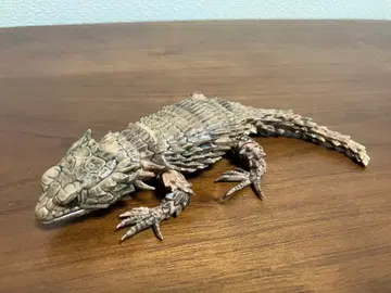 생물대도감 아르마딜로 도마뱀 먹선 작업 ver. 파충류 피규어