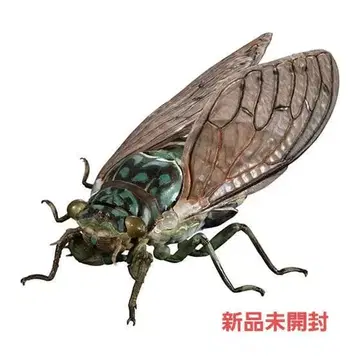 민민제미 생물대도감 어드밴스 매미 미개봉 새상품