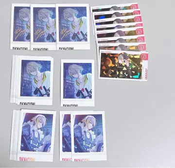 하쿠코류이 에이트리 18TRIP 파샤코레 금박 특전