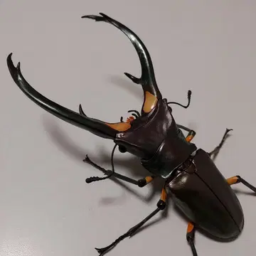 에라푸스 호소아카 사슴벌레 그린 생물대도감 어드밴스 미개봉 새상품