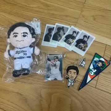 히로오카 타이시 굿즈 묶음 판매