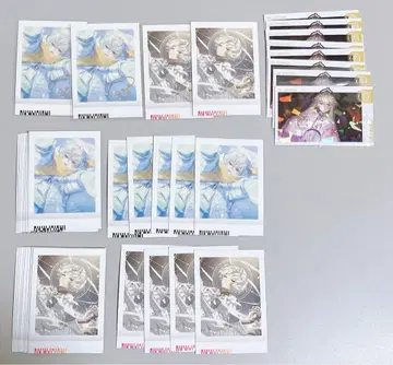 화이트 빛 코팅 에이트립 18TRIP 파샤코레 금박 혜택