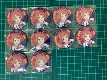 학원 아이돌 마스터 학마스 핫케이지마 파라다이스 하나미 사키 캔뱃지