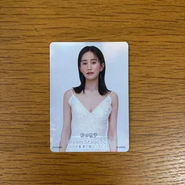 AKB48 일본 무도관 입장 특전 트레이딩 카드 마에다 아츠코