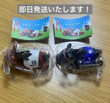 서러브레드 컬렉션 풀백 호스 3