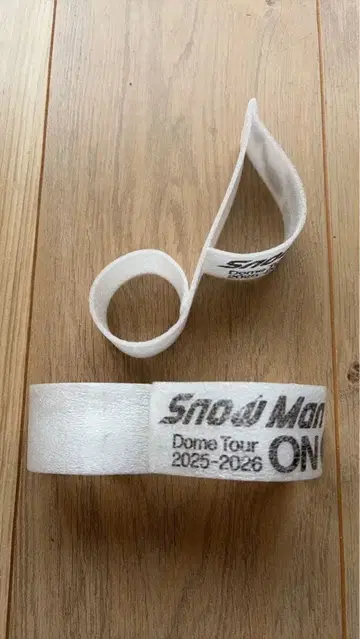 Snow Man Dome Tour 2025-2026 낙하물