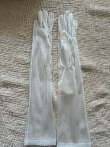 웨딩 그로브 와타베 웨딩