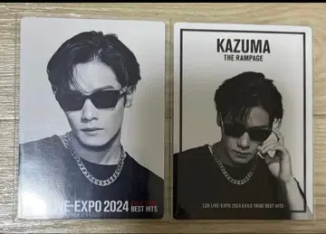 EXPO 카와무라 카즈마 포토 카드 2종 세트 익명 배송