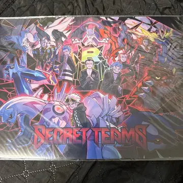 [ 한정판 ] 포켓몬 클리어 파일 secret teams 새상품 미개봉